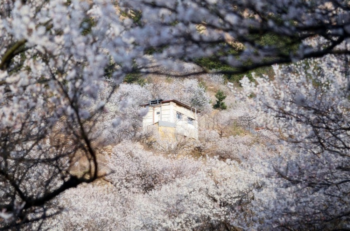 Ngôi nhà bình dị với cuộc sống đầy ắp yêu thương của cặp vợ chồng trẻ bỏ công việc lương cao về quê sinh sống - Ảnh 2. Ngôi nhà bình dị với cuộc sống đầy ắp yêu thương của cặp vợ chồng trẻ bỏ công việc lương cao về quê sinh sống - Ảnh 2.