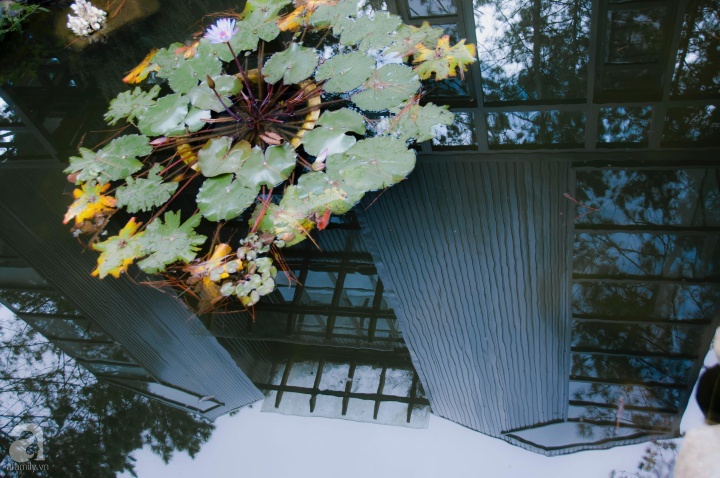 Biệt thự đẹp lãng mạn trên đồi thông ở Đà Lạt trị giá 25 tỷ đồng của siêu mẫu Phan Như Thảo và chồng đại gia - Ảnh 6. Biệt thự đẹp lãng mạn trên đồi thông ở Đà Lạt trị giá 25 tỷ đồng của siêu mẫu Phan Như Thảo và chồng đại gia - Ảnh 6.