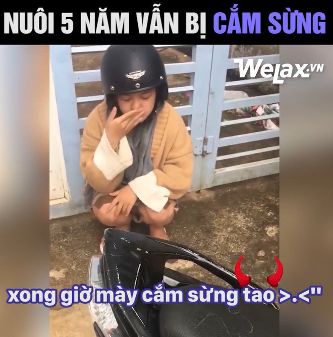 Thanh niên kể nuôi bạn gái 5 năm vẫn bị cắm sừng, cô gái lên tiếng: Mình không được đi học ĐH và bị đánh - Ảnh 3.