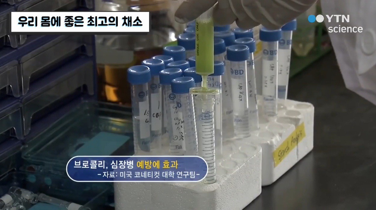 3 loại thực phẩm cực tốt cho sức khỏe mà đài YTN Hàn Quốc khuyên dùng thường xuyên - Ảnh 3. 3 loại thực phẩm cực tốt cho sức khỏe mà đài YTN Hàn Quốc khuyên dùng thường xuyên - Ảnh 3.