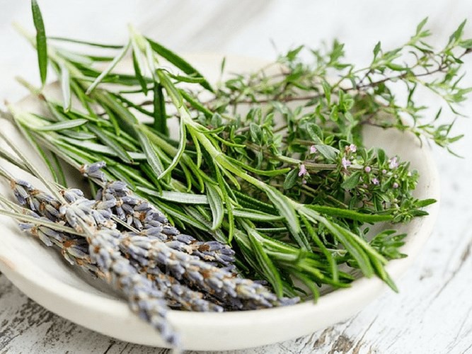 10 loại thảo mộc tuyệt vời để đốt cháy mỡ bụng - Ảnh 5. 10 loại thảo mộc tuyệt vời để đốt cháy mỡ bụng - Ảnh 5.