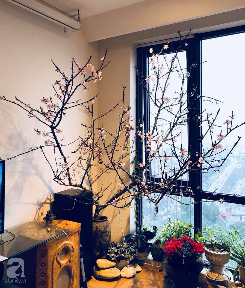 Muôn kiểu chị em cắm đào trang trí nhà: Thấy đào là thấy Tết - Ảnh 20. Muôn kiểu chị em cắm đào trang trí nhà: Thấy đào là thấy Tết - Ảnh 20.