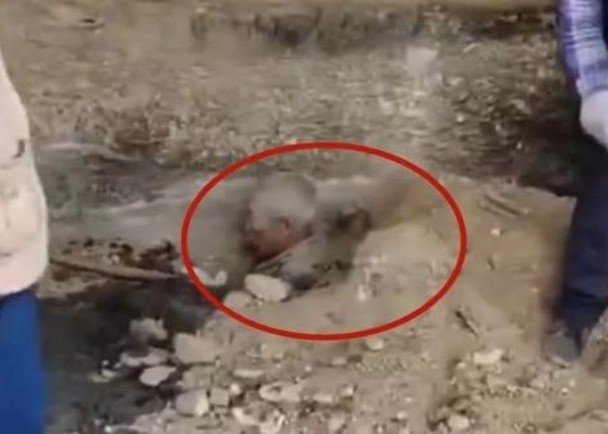 MXH phẫn nộ trước đoạn clip vợ chồng con trai ch&ocirc;n sống bố, ai biết sự thật đằng sau cũng phải lắc đầu ngao ng&aacute;n - Ảnh 1.