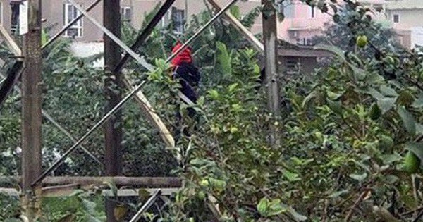 Nội dung thư tuyệt mệnh của thanh ni&ecirc;n tử vong trong tư thế treo cổ, 2 tay bị tr&oacute;i - Ảnh 1.