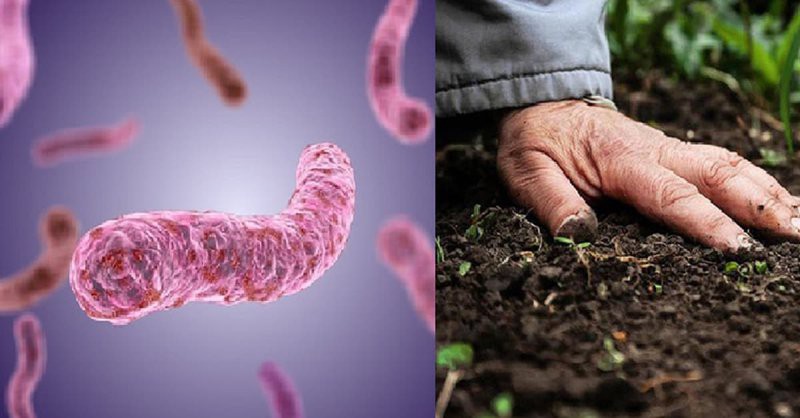 Chuyên gia chia sẻ kinh nghiệm về cách phát hiện và điều trị bệnh Whitmore - Ảnh 3. Chuyên gia chia sẻ kinh nghiệm về cách phát hiện và điều trị bệnh Whitmore - Ảnh 3.