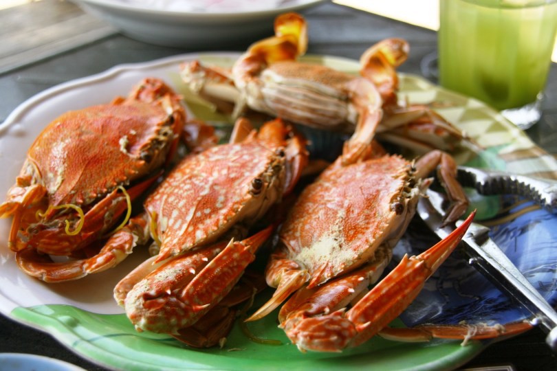 Du lịch Phú Quốc - Ảnh 12. Du lịch Phú Quốc - Ảnh 12.