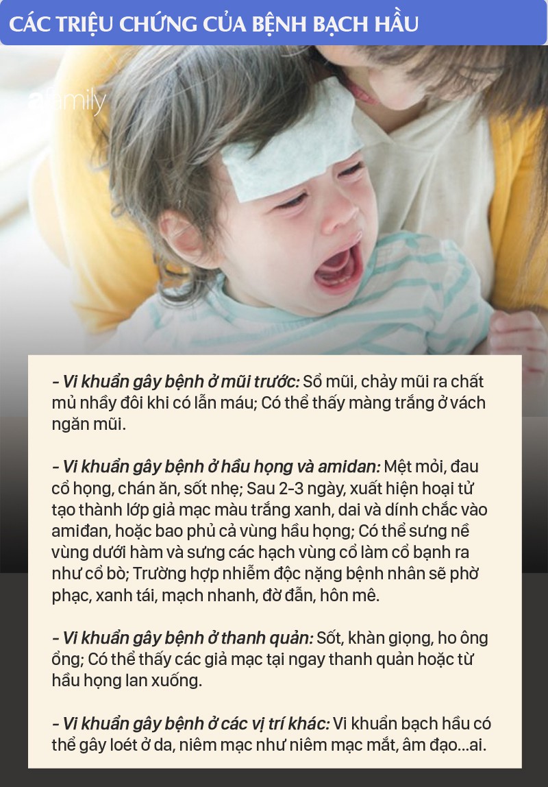 Bệnh bạch hầu có thể gây liệt cơ, viêm cơ tim, tử vong trong 6 ngày: Đừng bỏ qua triệu chứng bệnh bạch hầu - Ảnh 2. Bệnh bạch hầu có thể gây liệt cơ, viêm cơ tim, tử vong trong 6 ngày: Đừng bỏ qua triệu chứng bệnh bạch hầu - Ảnh 2.