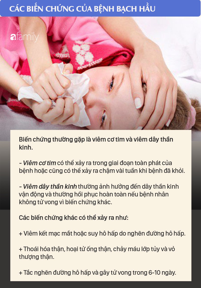 Phát hiện 1 ca dương tính, 2 ca nghi mắc bệnh bạch hầu ở Quảng Nam: Biến chứng của bệnh bạch hầu nguy hiểm thế nào? - Ảnh 4. Phát hiện 1 ca dương tính, 2 ca nghi mắc bệnh bạch hầu ở Quảng Nam: Biến chứng của bệnh bạch hầu nguy hiểm thế nào? - Ảnh 4.