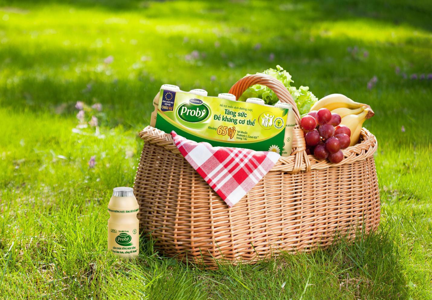 Đột phá mới trong việc tăng cường sức khỏe gia đình tại các quốc gia phát triển - Ảnh 5. Đột phá mới trong việc tăng cường sức khỏe gia đình tại các quốc gia phát triển - Ảnh 5.