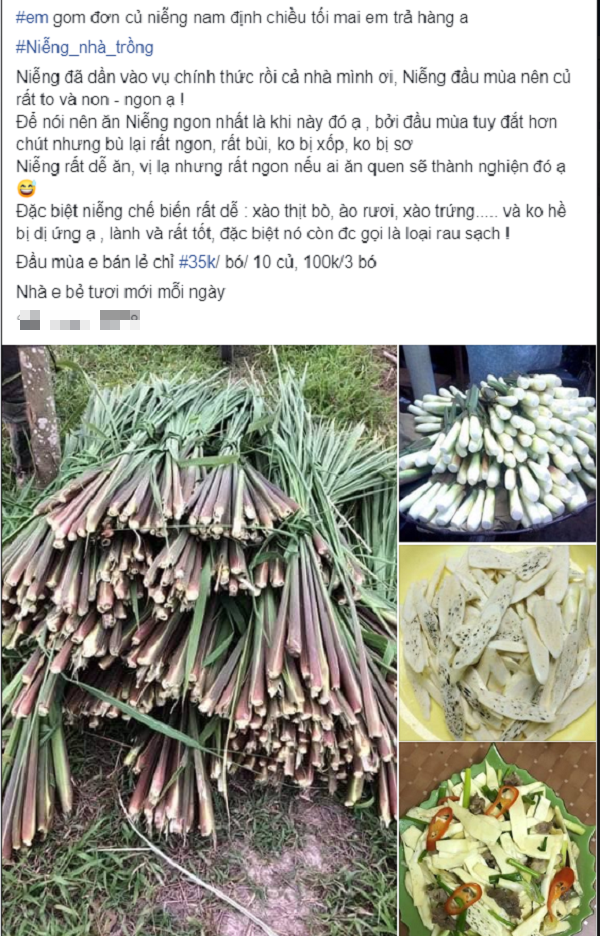 Củ niễng: Món đặc sản theo mùa mọc dại ở bờ ao chỉ xuất hiện trong vòng 1 tháng đang sốt xình xịch trong giới tiêu dùng, chị em mua nhanh kẻo hết mùa - Ảnh 4. Củ niễng: Món đặc sản theo mùa mọc dại ở bờ ao chỉ xuất hiện trong vòng 1 tháng đang sốt xình xịch trong giới tiêu dùng, chị em mua nhanh kẻo hết mùa - Ảnh 4.