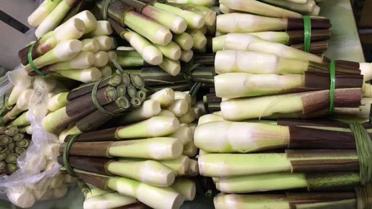 Tận dụng củ niễng chữa bệnh theo hướng dẫn của chuyên gia Đông y để vừa ăn ngon vừa sống khỏe trong mùa thu này - Ảnh 1. Tận dụng củ niễng chữa bệnh theo hướng dẫn của chuyên gia Đông y để vừa ăn ngon vừa sống khỏe trong mùa thu này - Ảnh 1.