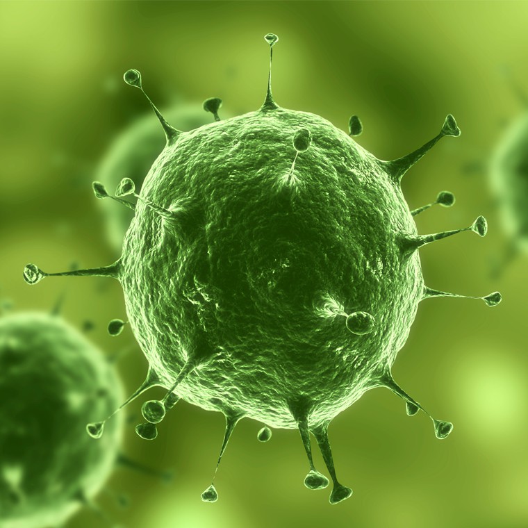 Cháu ruột mới 10 tháng bị tử vong, cô gái đau lòng lên tiếng cảnh báo căn bệnh dễ dàng lấy mạng sống trẻ nhỏ chỉ qua hành động âu yếm mà người lớn hay làm - Ảnh 4. Cháu ruột mới 10 tháng bị tử vong, cô gái đau lòng lên tiếng cảnh báo căn bệnh dễ dàng lấy mạng sống trẻ nhỏ chỉ qua hành động âu yếm mà người lớn hay làm - Ảnh 4.