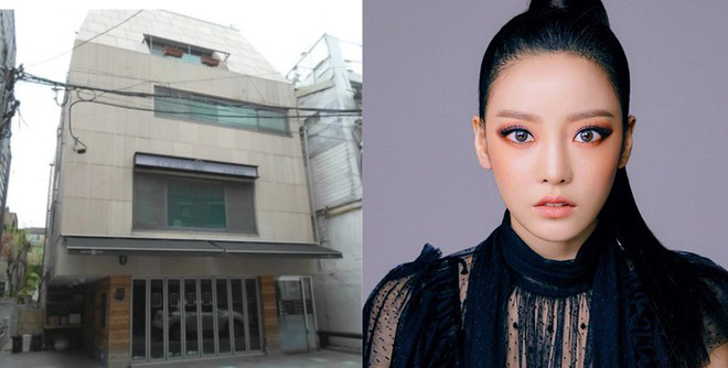 Goo Hara qua đời, lần đầu tiên khối tài sản giá trị tới 240 tỷ đồng được tiết lộ - Ảnh 3. Goo Hara qua đời, lần đầu tiên khối tài sản giá trị tới 240 tỷ đồng được tiết lộ - Ảnh 3.