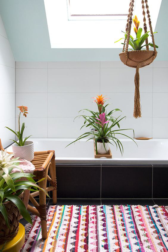 10 cây trồng tốt nhất trong phòng tắm để lấy thêm màu xanh và lọc không khí cho cả nhà - Ảnh 4.