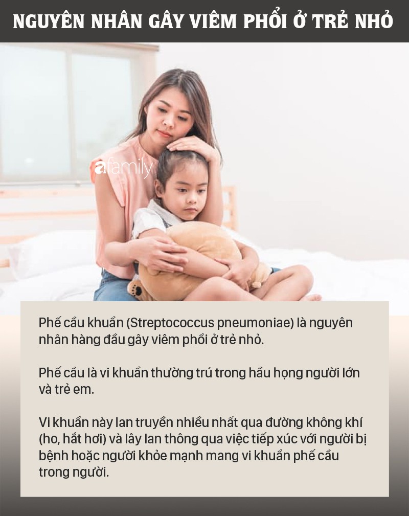 Viêm phổi là bệnh lây nhiễm nguy hiểm và gây tử vong nhiều hơn bất cứ bệnh nào: Nguyên nhân và triệu chứng bệnh viêm phổi ở trẻ nhỏ - Ảnh 2. Viêm phổi là bệnh lây nhiễm nguy hiểm và gây tử vong nhiều hơn bất cứ bệnh nào: Nguyên nhân và triệu chứng bệnh viêm phổi ở trẻ nhỏ - Ảnh 2.