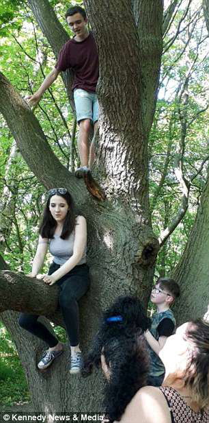 4cbf336600000578-5786251-theyoungsterwereenjoyingclimbingthetreeafterapicnic-a-621527679438992-15730158636712056431141.jpg