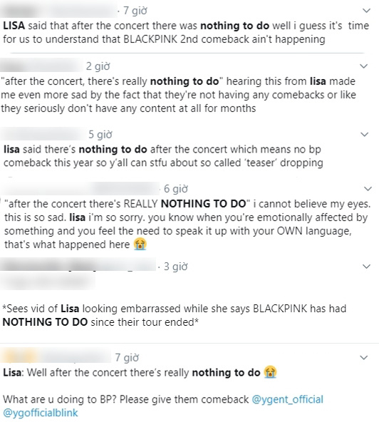 Xót xa lời kể của Lisa, tiết lộ BLACKPINK không comeback lần 2 trong năm 2019 - Ảnh 4.