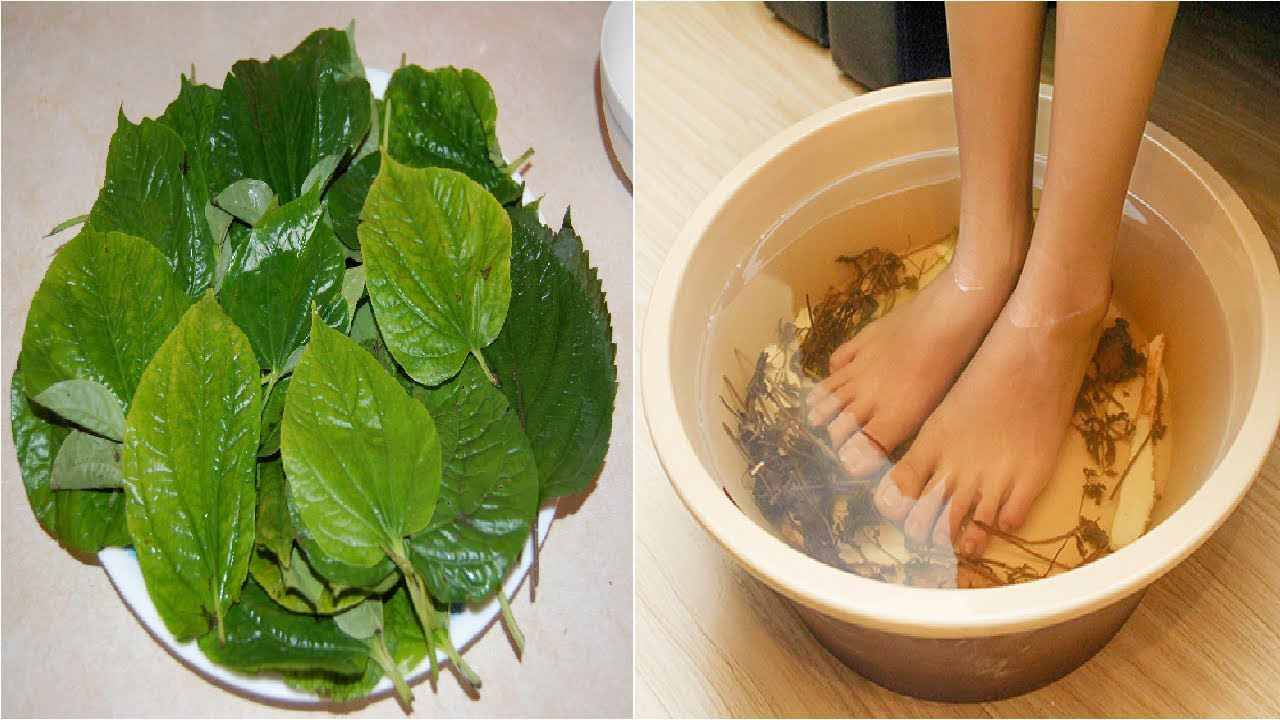 Ăn lá lốt ngon lại chữa đau nhức xương khớp nhưng cần lưu ý điều gì khi ăn? - Ảnh 6. Ăn lá lốt ngon lại chữa đau nhức xương khớp nhưng cần lưu ý điều gì khi ăn? - Ảnh 6.