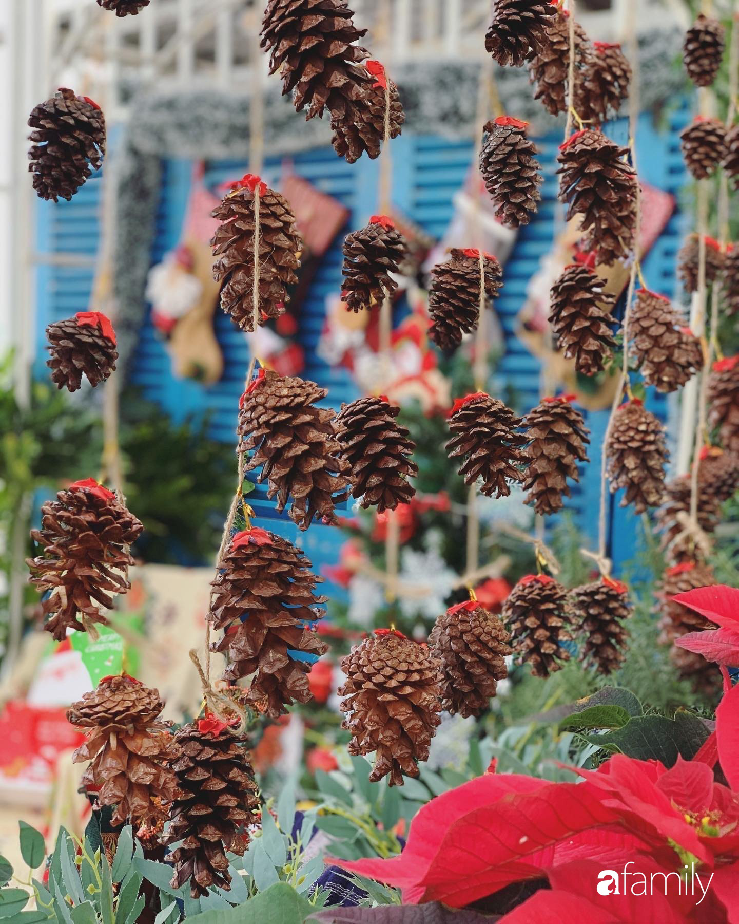 Sân thượng sắc màu rực rỡ đẹp cuốn hút đón Noel của mẹ đảm ở Nha Trang - Ảnh 13.