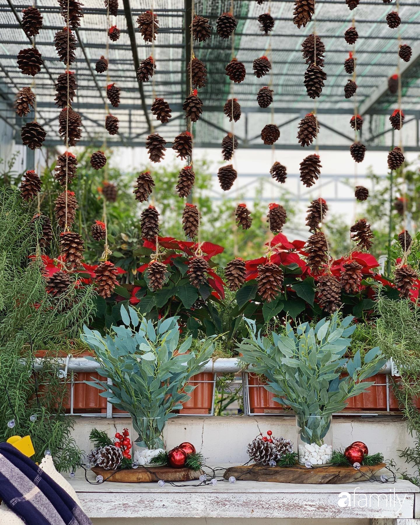 Sân thượng sắc màu rực rỡ đẹp cuốn hút đón Noel của mẹ đảm ở Nha Trang - Ảnh 11.