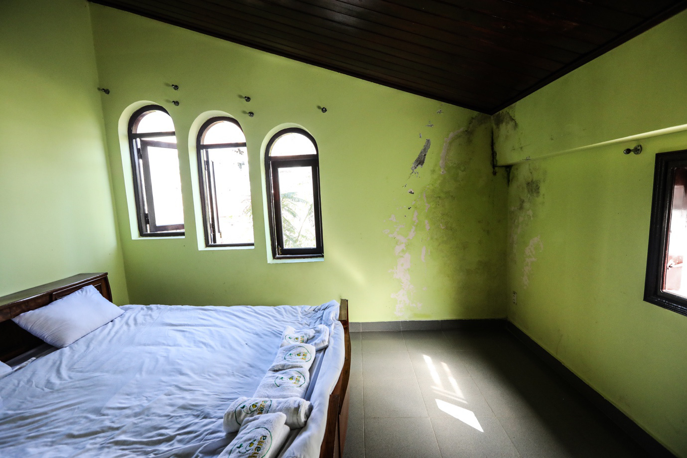 Kế hoạch giải cứu ngôi nhà bị nồm ẩm lâu năm tại Đà Lạt - Ảnh 1. Kế hoạch giải cứu ngôi nhà bị nồm ẩm lâu năm tại Đà Lạt - Ảnh 1.