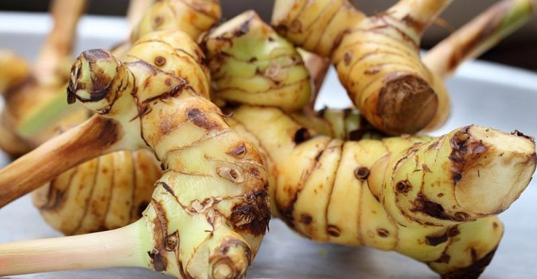 Tác dụng siêu tuyệt vời của củ riềng đối với sức khỏe - Ảnh 1. Tác dụng siêu tuyệt vời của củ riềng đối với sức khỏe - Ảnh 1.