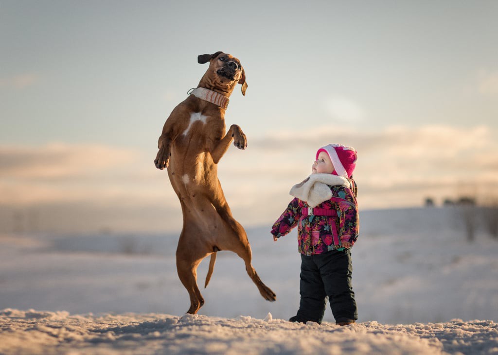 Bộ ảnh đẹp đến nao lòng của các bé chụp cùng thú cưng khổng lồ khiến ai nấy đều phải ngẩn ngơ, trầm trồ - Ảnh 2. Bộ ảnh đẹp đến nao lòng của các bé chụp cùng thú cưng khổng lồ khiến ai nấy đều phải ngẩn ngơ, trầm trồ - Ảnh 2.