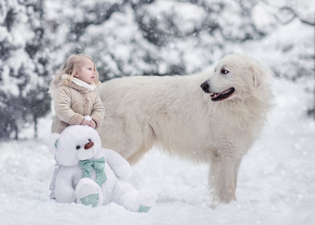 Bộ ảnh đẹp đến nao lòng của các bé chụp cùng thú cưng khổng lồ khiến ai nấy đều phải ngẩn ngơ, trầm trồ - Ảnh 9. Bộ ảnh đẹp đến nao lòng của các bé chụp cùng thú cưng khổng lồ khiến ai nấy đều phải ngẩn ngơ, trầm trồ - Ảnh 9.