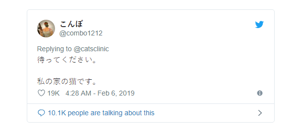 C&acirc;u chuyện x&uacute;c động về ch&uacute; m&egrave;o đưa thư đang lấy đi nước mắt của d&acirc;n mạng Nhật - Ảnh 3.