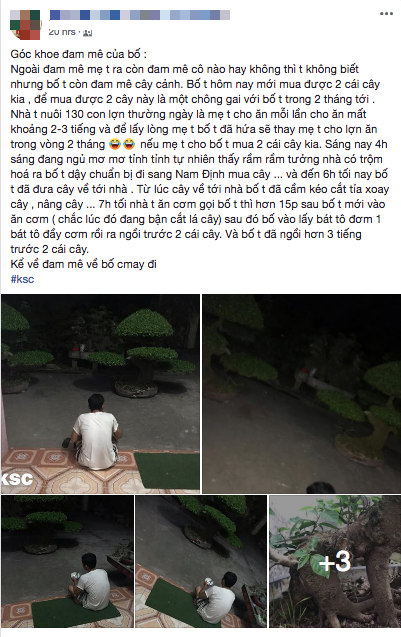 Con trai h&agrave;i hước kể chuyện bố hứa thay mẹ chăm 130 con lợn trong 2 th&aacute;ng để được mua đ&ocirc;i c&acirc;y cảnh 40 triệu - Ảnh 1.