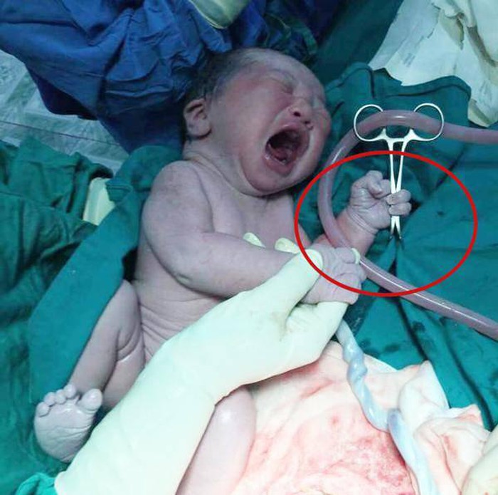 Bé trai vừa chào đời đã khiến mẹ mát mày mát mặt, dân mạng cười bò khi biết sự thật phũ phàng - Ảnh 3. Bé trai vừa chào đời đã khiến mẹ mát mày mát mặt, dân mạng cười bò khi biết sự thật phũ phàng - Ảnh 3.