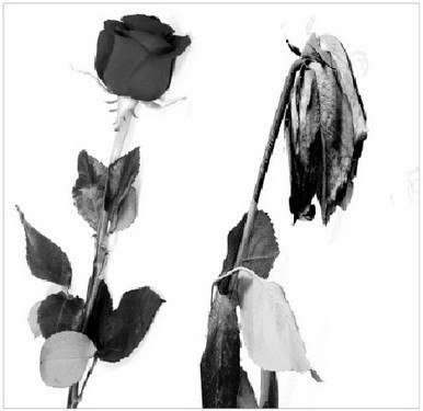 Thường xuy&ecirc;n nghĩ đến chuyện ấy c&oacute; phải l&agrave; bệnh? - Ảnh 3.