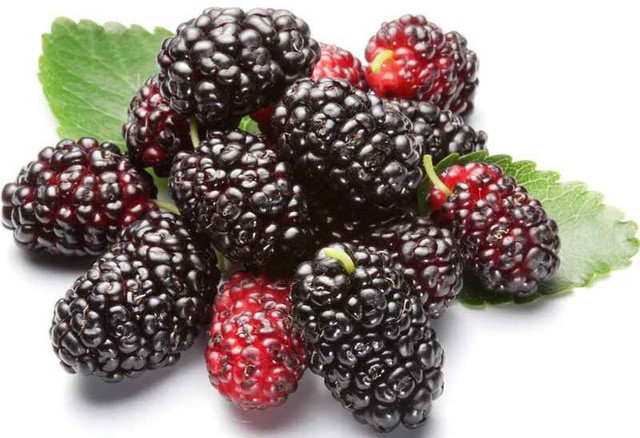 Kh&aacute;m ph&aacute; b&iacute; quyết dưỡng t&oacute;c cực hiệu quả từ c&aacute;c phương ph&aacute;p cổ xưa tưởng đ&atilde; thất truyền - Ảnh 3.