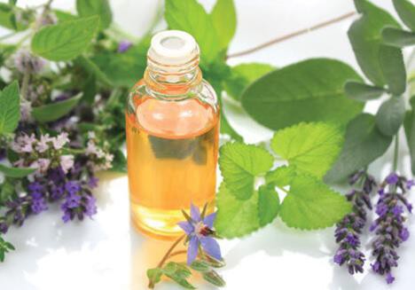 Kh&aacute;m ph&aacute; b&iacute; quyết dưỡng t&oacute;c cực hiệu quả từ c&aacute;c phương ph&aacute;p cổ xưa tưởng đ&atilde; thất truyền - Ảnh 4.