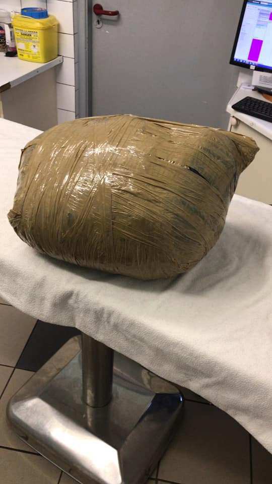 Gửi th&uacute; cưng cho dịch vụ chăm s&oacute;c để đi du lịch, c&ocirc; chủ đau đớn nhận về bọc chứa x&aacute;c ch&uacute; ch&oacute; đ&aacute;ng thương bị quấn như m&oacute;n h&agrave;ng - Ảnh 3.