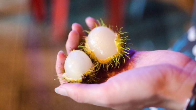 Khám phá lợi ích và công dụng tuyệt vời của quả chôm chôm - Ảnh 2. Khám phá lợi ích và công dụng tuyệt vời của quả chôm chôm - Ảnh 2.