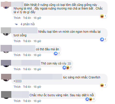 Vừa mới k&eacute;o nhau đổ x&ocirc; đi mua t&ocirc;m h&ugrave;m đất, team nội trợ lại rầm rộ đ&ograve;i tẩy chay v&igrave; nghe tin t&ocirc;m c&oacute; hại - Ảnh 9.