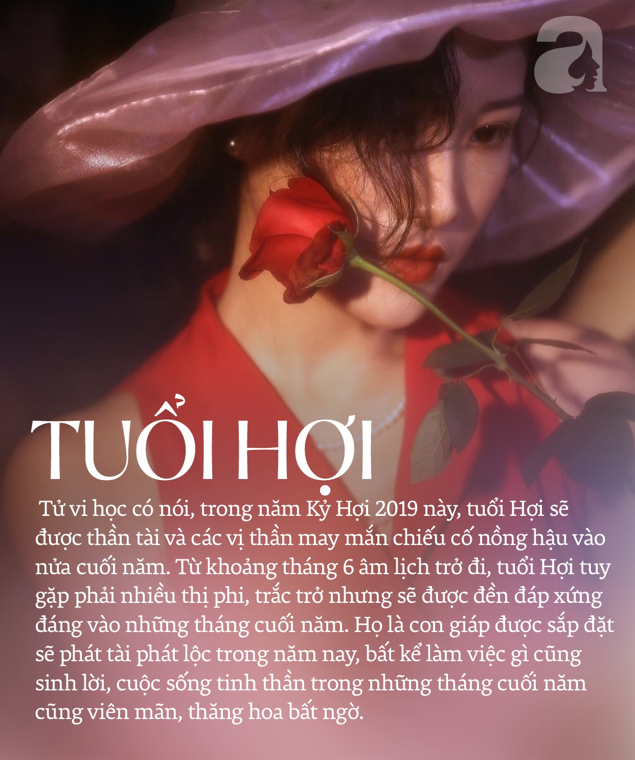 Nửa cuối năm 2019, 3 con gi&aacute;p n&agrave;y được sắp đặt sẽ ph&aacute;t t&agrave;i ph&aacute;t lộc, muốn tr&aacute;nh cũng kh&ocirc;ng tr&aacute;nh được, cuộc sống t&igrave;nh tiền song to&agrave;n - Ảnh 3.