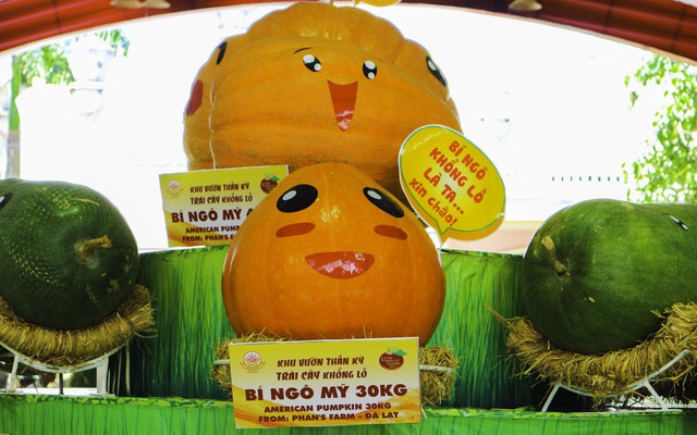 Lễ hội trái cây Nam Bộ lần thứ 15 với chuỗi hoạt động đậm đà văn hóa Nam Bộ - Ảnh 5. Lễ hội trái cây Nam Bộ lần thứ 15 với chuỗi hoạt động đậm đà văn hóa Nam Bộ - Ảnh 5.
