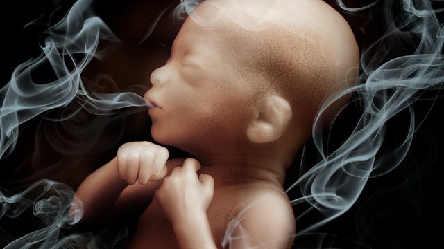 Những biến chứng kinh hoàng đối với thai nhi khi mẹ bầu hít phải khói thuốc lá - Ảnh 2.
