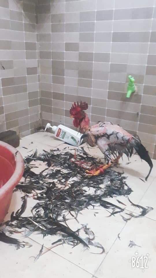 Kh&ocirc;ng kh&iacute; lạnh đột ngột k&eacute;o về, cư d&acirc;n mạng miền Bắc h&agrave;i hước hồi tưởng cảnh đ&ecirc;m 30 Tết quay ngược trở lại - Ảnh 9.