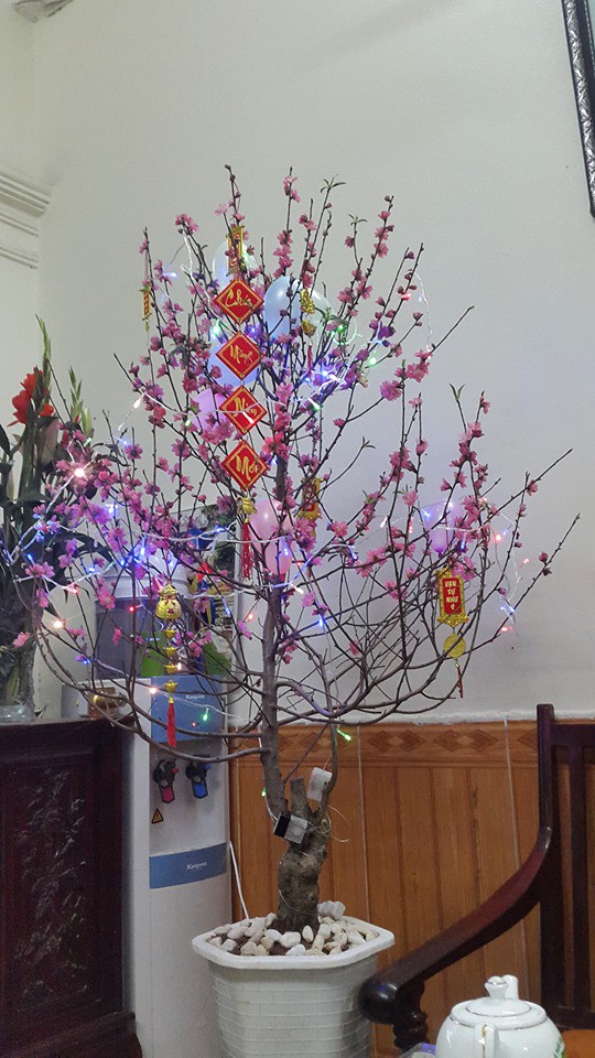 Kh&ocirc;ng kh&iacute; lạnh đột ngột k&eacute;o về, cư d&acirc;n mạng miền Bắc h&agrave;i hước hồi tưởng cảnh đ&ecirc;m 30 Tết quay ngược trở lại - Ảnh 3.