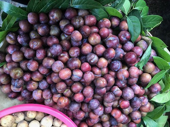 Những loại hoa quả Việt Nam đã hết mùa nhưng hàng Trung Quốc vẫn bán nhan nhản - Ảnh 3.