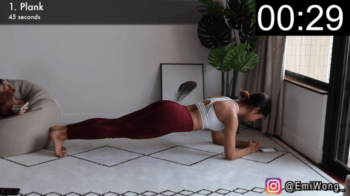 plank plank