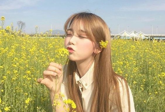 a4b500efd647be53a52ebc76418946f2-crop a4b500efd647be53a52ebc76418946f2-crop