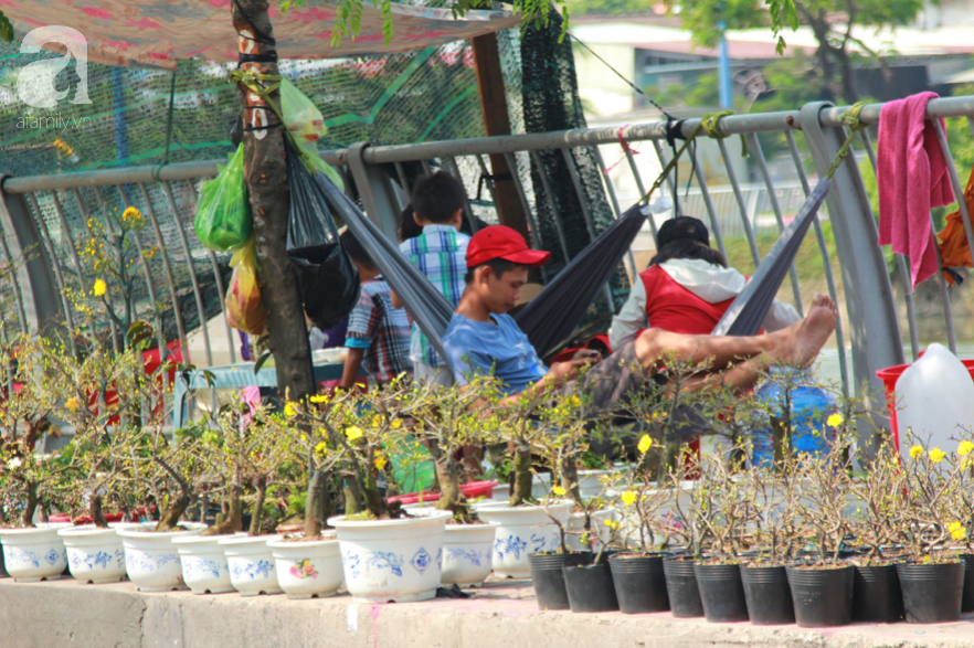 Độc đáo chợ hoa bến Bình Đông ngày cuối năm: Mang hoa Tết vượt sông hàng trăm kilomet đến Sài Gòn mưu sinh - Ảnh 3.