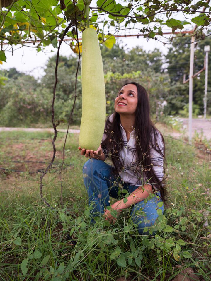 Nữ kỹ sư trẻ xinh đẹp quyết tâm về quê làm vườn trồng rau sạch cho gia đình thưởng thức - Ảnh 3.