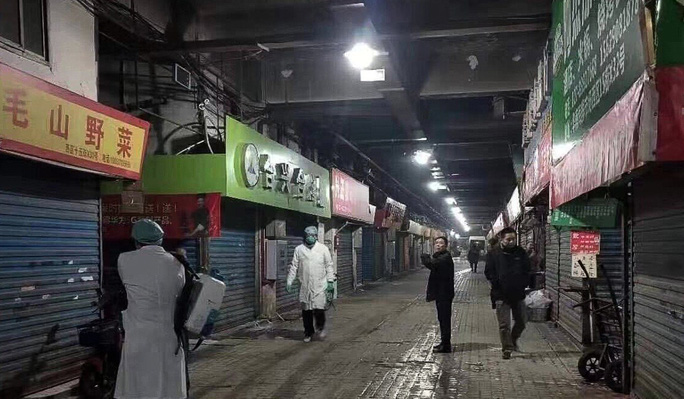  - Ảnh 1.
