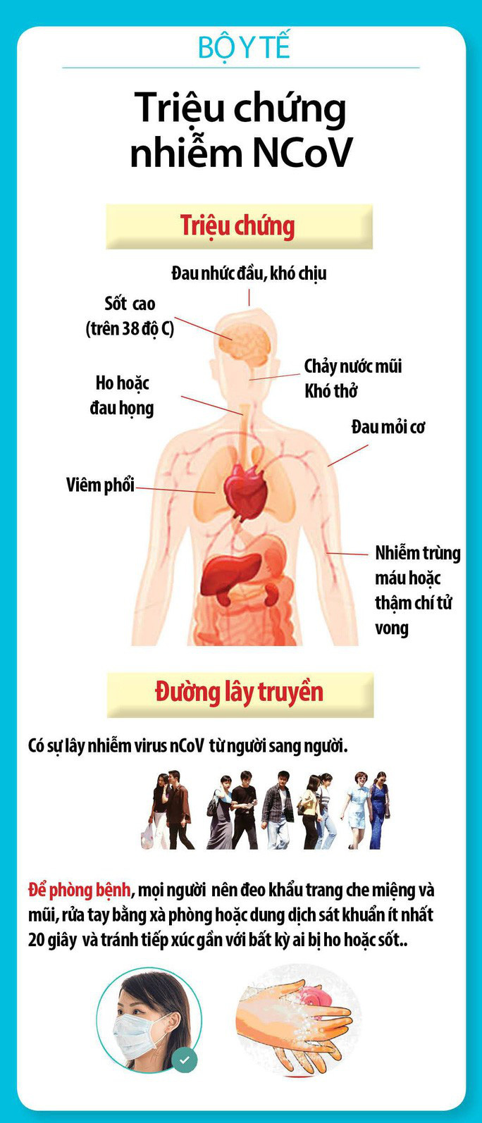 - Ảnh 6.