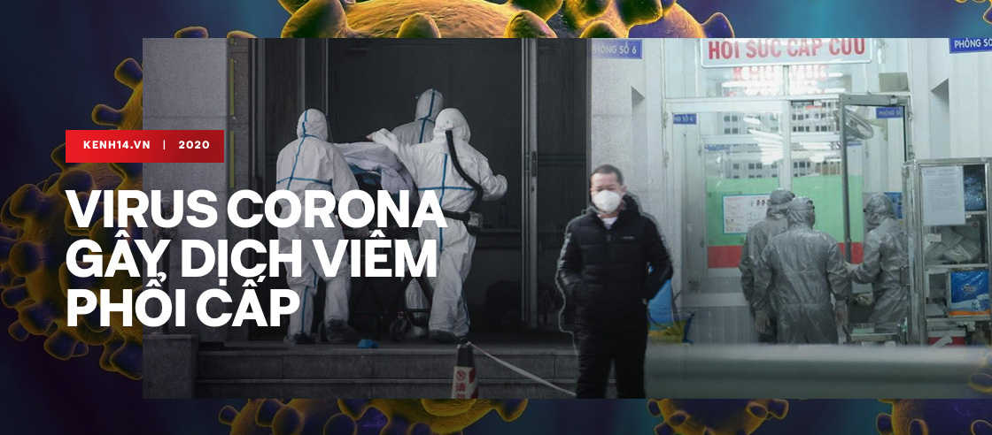 Nam Định dừng tổ chức Lễ hội Khai ấn Đền Trần để ph&ograve;ng, chống l&acirc;y lan virus Corona - Ảnh 2.